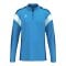 Erima Celebrate 125 Sweatshirt Kids Blau - blau