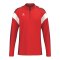 Erima Celebrate 125 Sweatshirt Rot - rot
