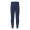 Erima CMPT WINGS Jogginghose Kids Blau F2102606 - blau