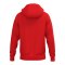Erima CMPT Wings Kapuzenjacke Rot F2072622 - rot