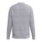 Erima CMPT Wings Sweatshirt Grau F2072620 - grau