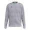 Erima CMPT Wings Sweatshirt Grau F2072620 - grau