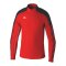 Erima EVO STAR HalfZip Sweatshirt Rot - rot