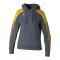 Erima EVO STAR Hoody Damen Grau F1072427 - grau