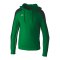 Erima EVO STAR Hoody Kids Grün F1072403 - gruen