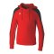 Erima EVO STAR Hoody Kids Rot - rot