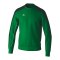 Erima Evo Star Sweatshirt Grün Fsmaragdpinegrove - gruen