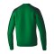 Erima EVO STAR Sweatshirt Kids Grün Fsmaragdpinegrove - gruen