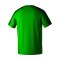Erima Evo Star T-Shirt Grün - gruen