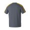Erima Evo Star T-Shirt Kids Grau Fslategreygelb - grau