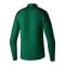 Erima EVO STAR Trainingsshirt Grün F1262403 - gruen