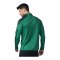 Erima EVO STAR Trainingsshirt Grün F1262403 - gruen