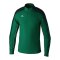 Erima EVO STAR Trainingsshirt Grün F1262403 - gruen