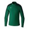 Erima EVO STAR Trainingshirt Kids Grün F1262403k - gruen