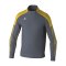 Erima EVO STAR Trainingsjacke Grau F1032416 - grau