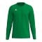 Erima INTRO function Trikot Langarm Grün F2332612 - gruen