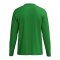 Erima INTRO function Trikot Langarm Kids Grün F2332612 - gruen