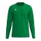 Erima INTRO function Trikot Langarm Kids Grün F2332612 - gruen
