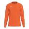 Erima INTRO function Trikot Langarm Kids Orange F2332615 - orange