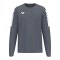 Erima INTRO Sweatshirt Grau F1072609 - grau