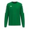 Erima INTRO Sweatshirt Grün F1072604 - gruen