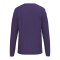 Erima INTRO Sweatshirt Lila F1072608 - lila