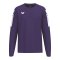 Erima INTRO Sweatshirt Lila F1072608 - lila