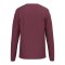 Erima INTRO Sweatshirt Rot F1072607 - rot