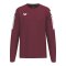 Erima INTRO Sweatshirt Rot F1072607 - rot