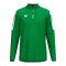 Erima INTRO Training Sweatshirt Kids Grün F1262606 - gruen