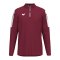 Erima INTRO Training Sweatshirt Kids Rot F1262609 - rot