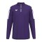 Erima INTRO Training Sweatshirt Lila F1262610 - lila