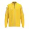 Erima INTRO Trainingsjacke Gelb F1032650 - gelb