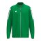 Erima INTRO Trainingsjacke Kids Grün F1032648 - gruen