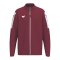 Erima INTRO Trainingsjacke Kids Rot F1032651 - rot