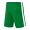 Erima Retro Star Shorts Kids Grün Weiss - gruen