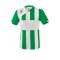 Erima Siena 3.0 Trikot kurzarm Grün Weiss - gruen