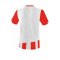Erima Siena 3.0 Trikot kurzarm Rot Weiss - rot