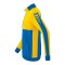 Erima Six Wings Trainingsjacke Kids Blau Gelb - blau