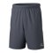 Erima Team Short Grau - grau