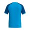 Erima WINGS Trikot Blau F3132605 - blau