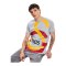 Galatasaray Istanbul Big Logo T-Shirt Grau - grau