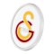 Galatasaray Istanbul Logo Abzeichen Accessoire Gold - gold
