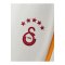 Galatasaray Istanbul Jogginghose Grau - grau