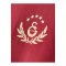 Galatasaray Istanbul T-Shirt Rot - rot