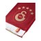 Galatasaray Istanbul Team der Ersten und Besten Schal Mehrfarbig - mehrfarbig