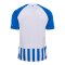 hummel 1. FC Magdeburg Trikot Home 2026/2027 Blau F7251 - blau