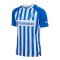 hummel 1. FC Magdeburg Trikot Home 2026/2027 Blau F7251 - blau