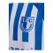 hummel 1. FC Magdeburg Trikot Home 2026/2027 Kids Blau F7251 - blau
