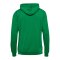 Hummel AUTHENTIC PL Hoody Grün F6235 - gruen